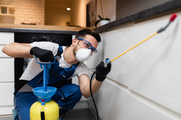 Best Affordable Pest Control Services  in Sanibel, FL
