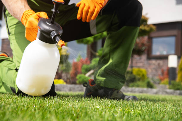 Best Mosquito Control Services  in Sanibel, FL