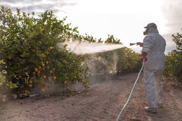 Best Rat Extermination Near Me  in Sanibel, FL