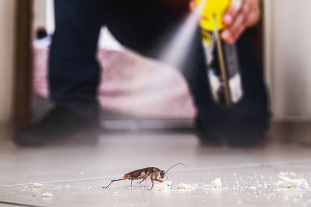 Best Bed Bug Extermination  in Sanibel, FL