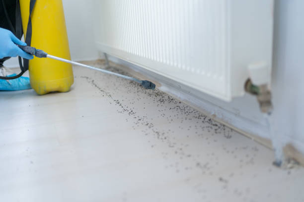 Best Termite Control Services  in Sanibel, FL