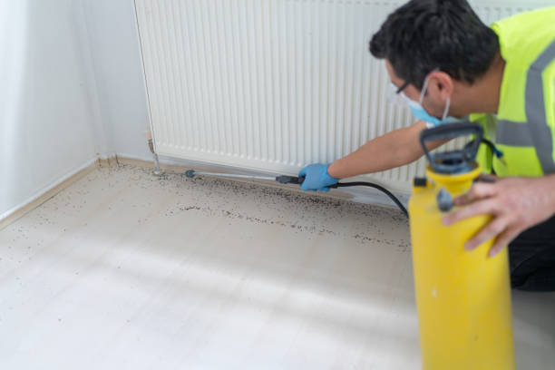 Best Residential Pest Control  in Sanibel, FL