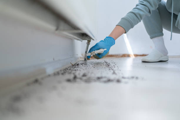 Pest Control Cost in Sanibel, FL